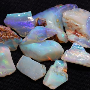 21.37 carats Wood Fossil Parcel