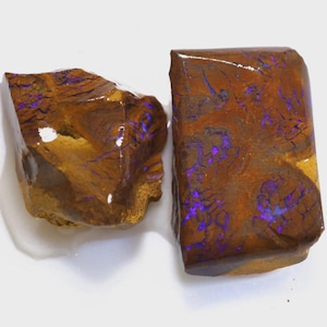May include: Two rough-cut opal stones. The stones have a brown base color with intricate patterns and flashes of blue and purple. The opal pieces are displayed on a white surface, showcasing their natural beauty and unique color variations.