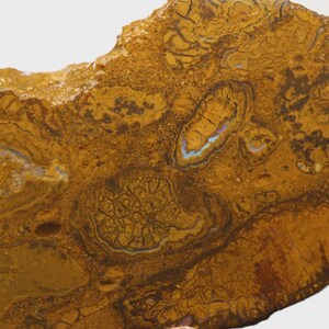 Könnte beinhalten: Nahaufnahme eines rauen, natürlichen Steins mit warmen, erdigen Farbtönen. Der Stein weist komplizierte Muster und Texturen auf, mit Brauntönen, Gold und einem Hauch von Blau. Die unebene Oberfläche zeigt die natürliche Entstehung des Steins.