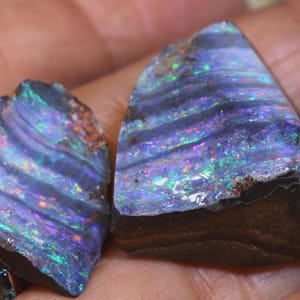May include: Two pieces of raw opal, showcasing a vibrant play of color. The opals display a mix of blues, greens, and purples, with a dark brown matrix. The rough, natural edges and iridescent patterns create a striking visual effect.