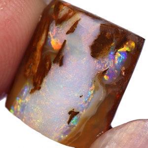 5.31 Carats Jundah Wood Fossil Pipe Opal Preshaped Rub
