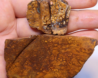 525 karatów Yowah Opal Rough Parcel
