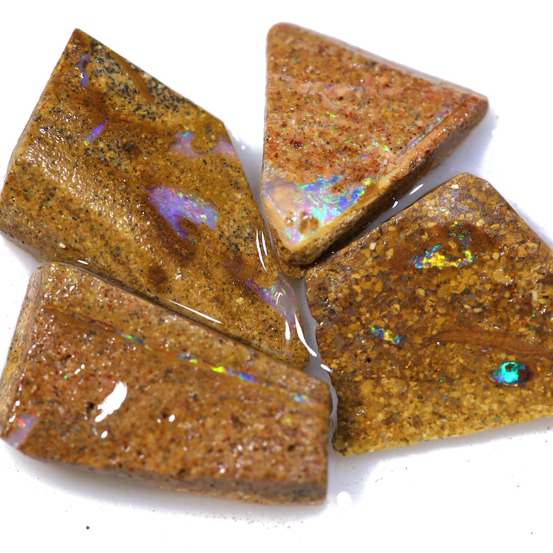 19.75 Carats Boulder Opal Pipe Rough Parcel
