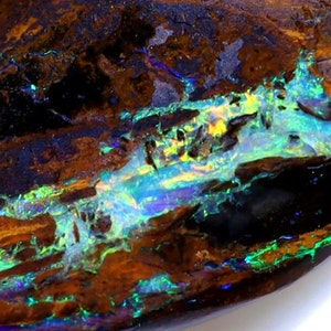 14.58 Carats Koroit Wood Replacement Pre-shaped Rub