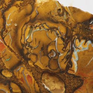 May include: Close-up of a natural stone slab with a unique pattern. The stone features a blend of warm colors, including shades of brown, yellow, and orange, with intricate veining and patterns. The stone has a rough, textured surface.
