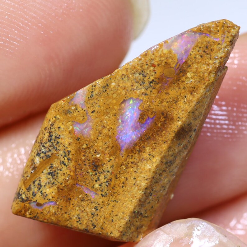 May include: A rough-cut opal gemstone with a tan and brown exterior. The stone has flashes of iridescent purple and blue within its structure. The opal is held in a hand, showcasing its natural, unpolished form.