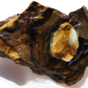 Könnte beinhalten: Ein rohes Opal-Exemplar. Der Stein hat eine dunkelbraune Matrix mit Schichten aus Beige und Braun. Ein ovales Zentrum zeigt einen lebendigen Opal mit blauen, grünen und goldenen Reflexen. Die Oberfläche glänzt und hebt die natürlichen Texturen hervor.
