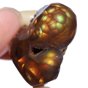 May include: A polished fire agate gemstone featuring a deep brown, translucent base with iridescent, glowing orb-like inclusions that display vibrant flashes of green, gold, and orange light across its rounded, organic surface structure.