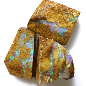 12.90 Carats Boulder Opal Pipe Rough Parcel
