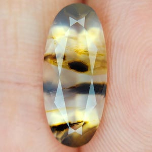 1.79 Carats FACETED Montana Dendritic Agate
