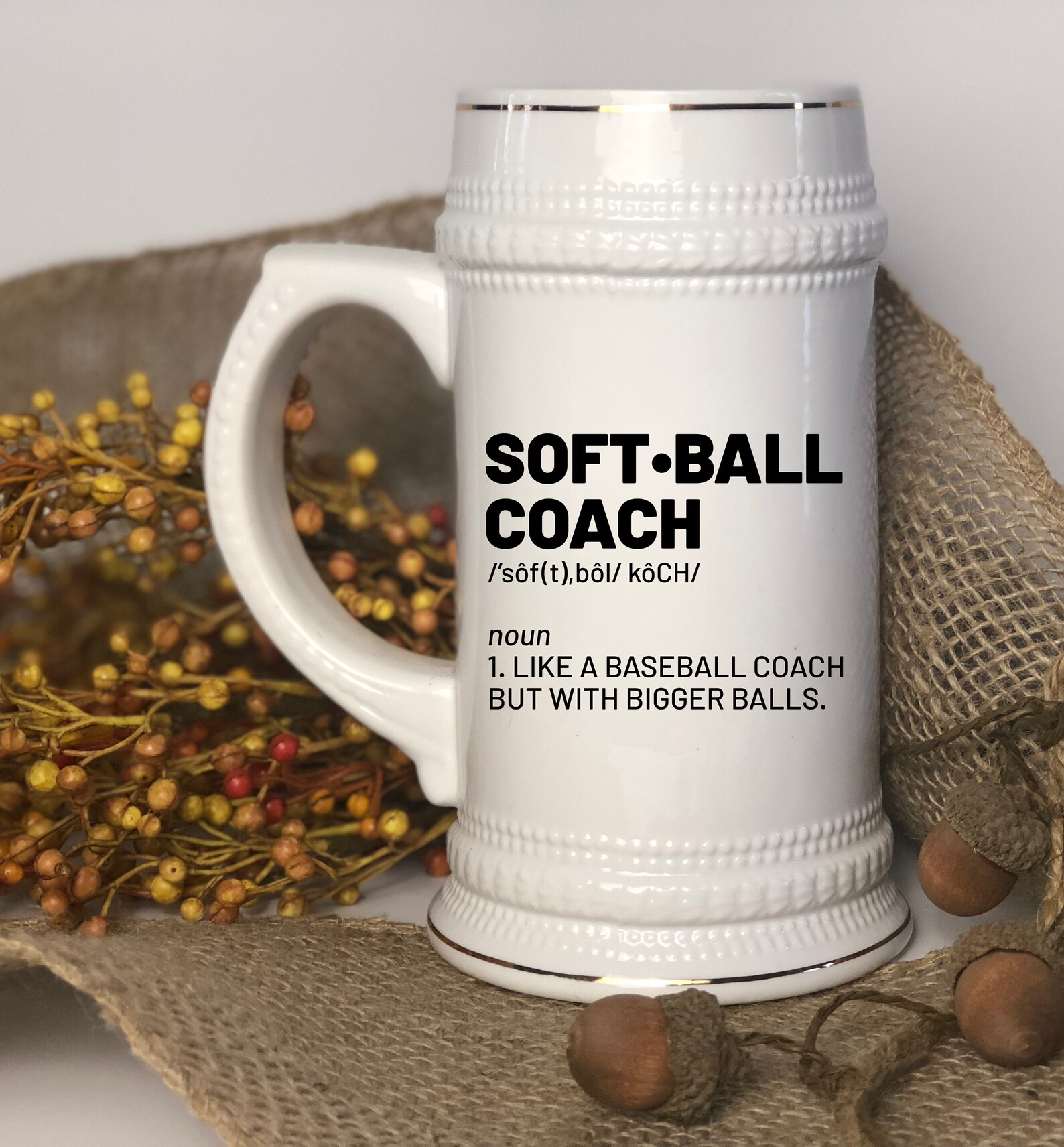 Funny Softball Coach Beer Mug Softball Dad Gift Softball Mom Etsy