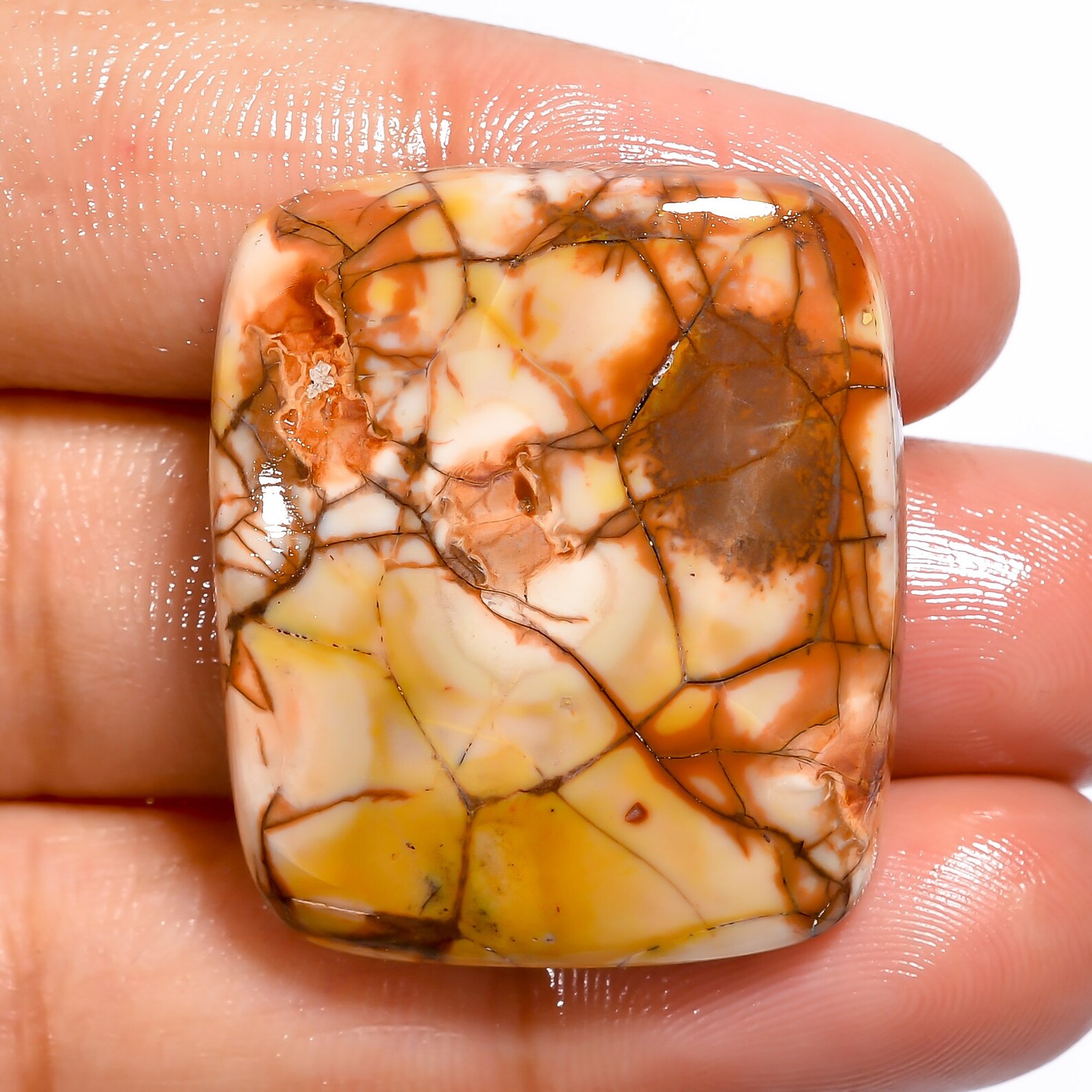 Bird Eye Jasper Gemstone/100 Natural Bird Eye Jasper Cabochon Etsy