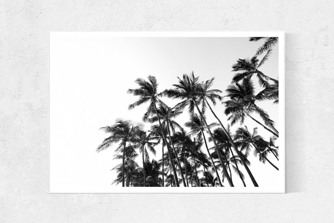 Palm Tree Ultra, Black and White Prints, Palm Trees Wall Art, Beach
