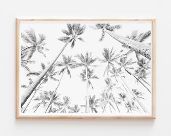 Palm Tree Print, Black And White Prints, Palm Tree Wall Art, Beach Prints, Palm Tree Poster, Digital Download, Printable Art