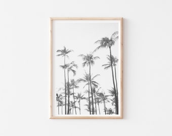 Palm Tree Print, Black And White Prints, Palm Tree Wall Art, Beach Prints, Palm Tree Poster, Digital Download, Printable Art