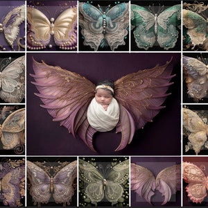 21 Set Butterfly Wings Newborn Digital Ai Backdrop