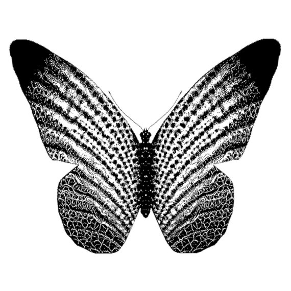 Black And White Butterfly Microfiber Duvet Cover Etsy