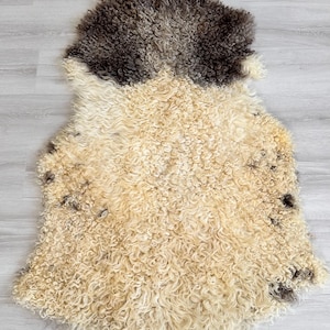 May include: A sheepskin rug with a natural, two-tone color scheme. The top portion is a dark brown, transitioning to a creamy beige. The rug has a dense, curly texture, providing a soft and warm aesthetic. The rug is ideal for home decor.