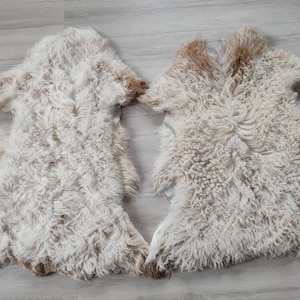 Set of 2 gotland sheepskin.Natural sheepskin Tanned Handmade SheepSkin .Curly SheepSkin sheepskin Rug tigrado Sheepskin.Real soft Sheepskin.