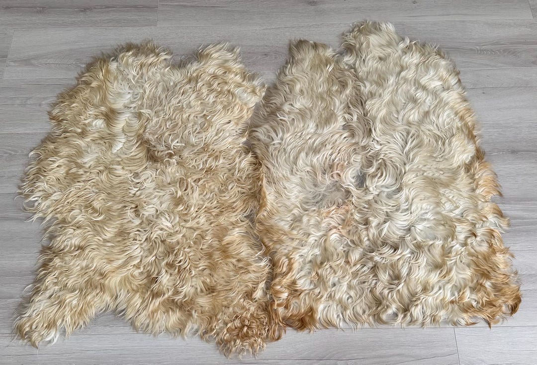 Set of 2 Natural Curly Sheepskin Rugs: Handmade Tanned Sheepskin - Etsy