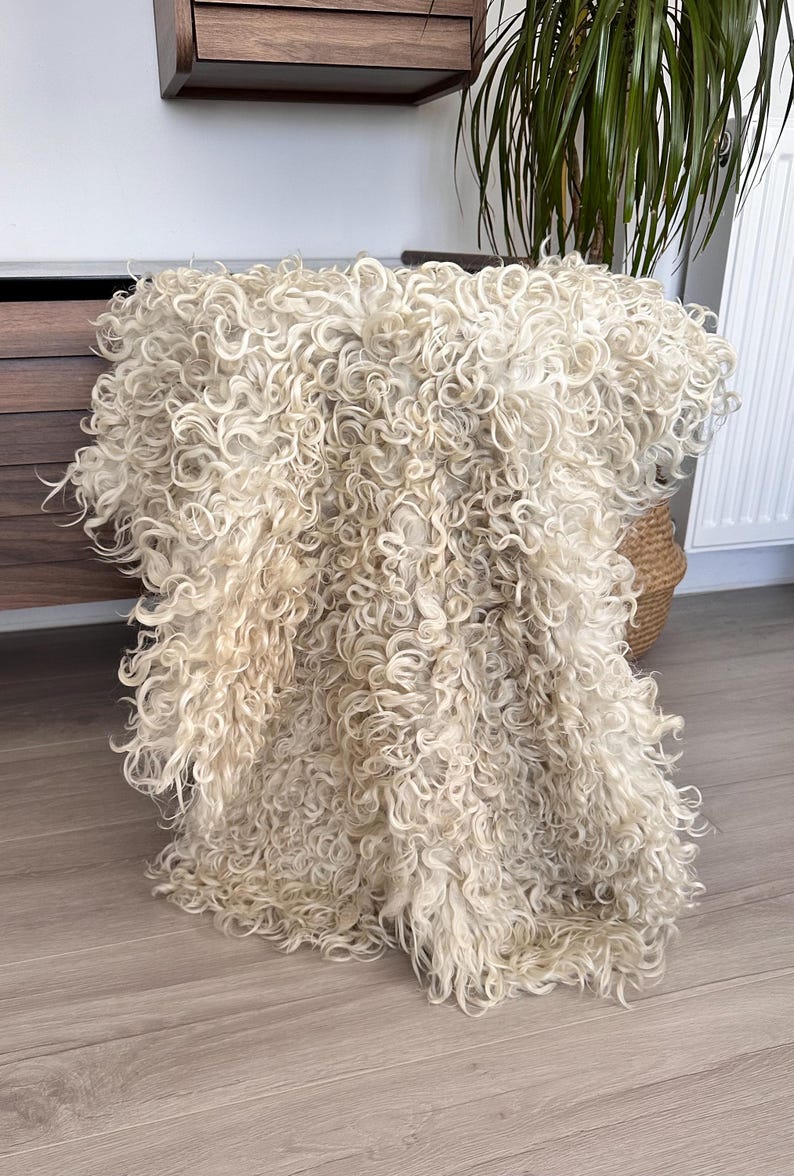 Draped Rug Images Set of 2 Natural Gotland Sheepskin Rugs, White Beige Luxury Throw - Etsy