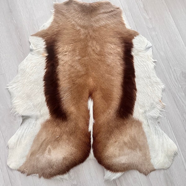 Springbok Fur Deer Skin Genuine Natural Springbok Pelt Real Springbok Real Antelope Skin Springbok Carpet Rug real gazelle skin.gazelle skin