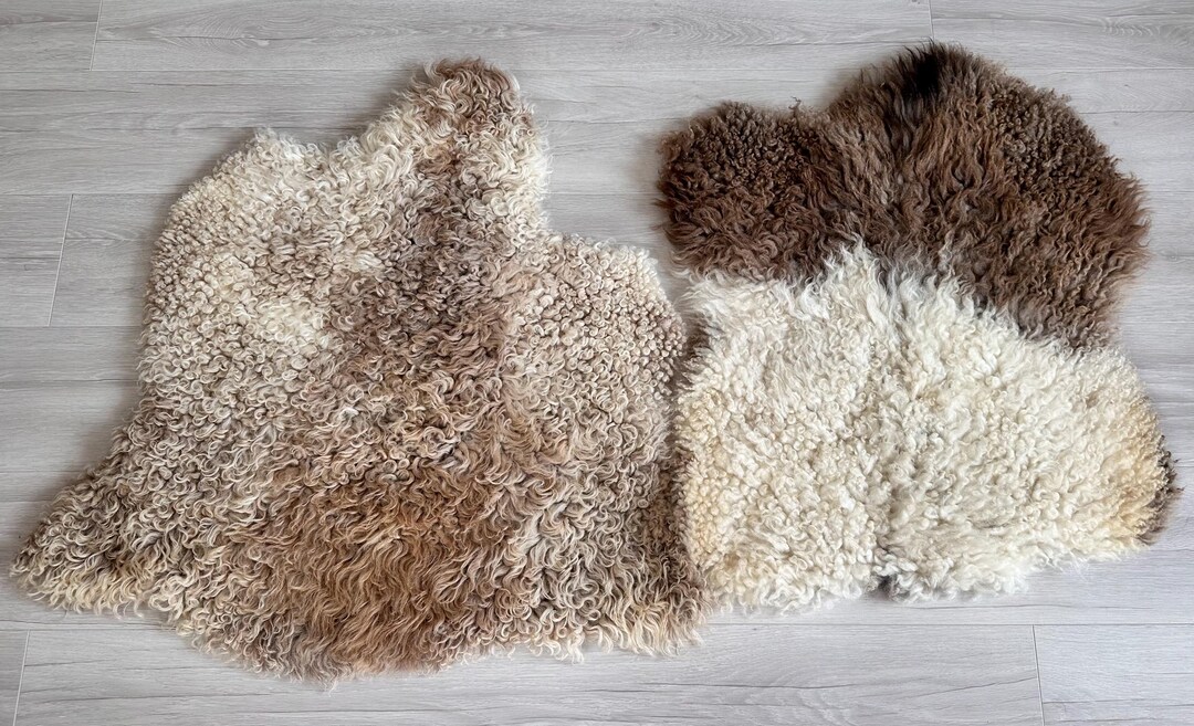 Set of 2 Natural Curly Sheepskin Rugs, Camel Brown White Chair Cover - Etsy