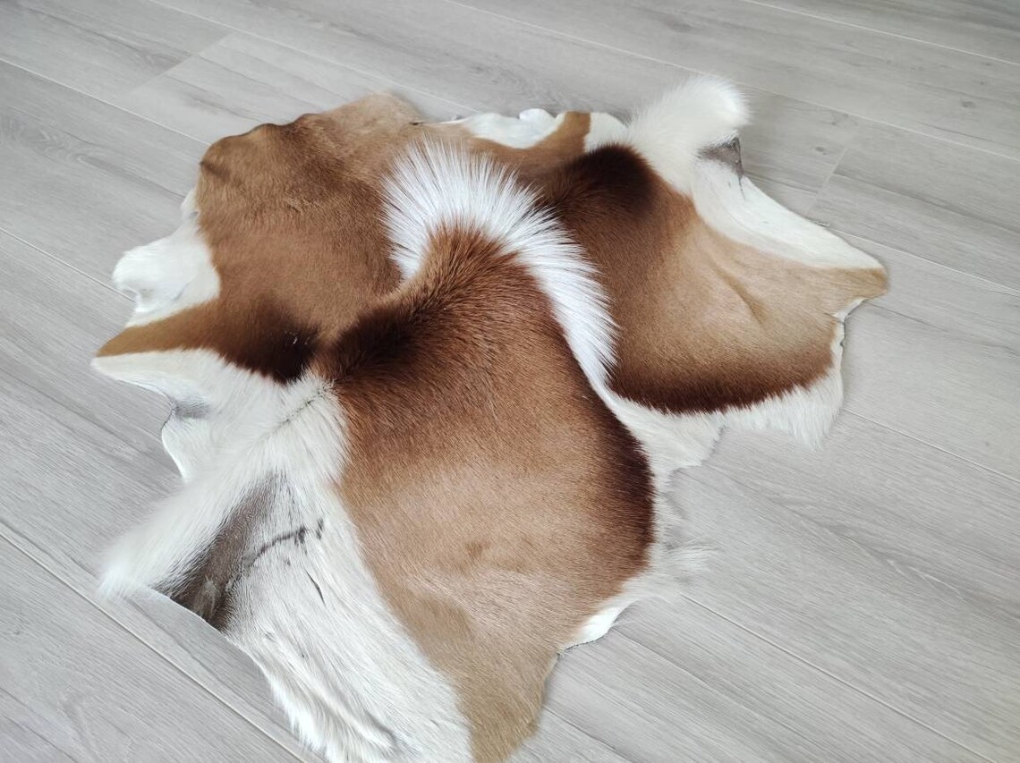 Genuine Springbok Fur Hide: Natural Gazelle Skin Rug (85cm X 60cm) - Etsy