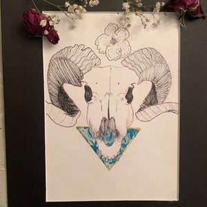 Pu&ograve; includere: Un disegno in bianco e nero di un cranio di ariete con un fiore in cima. Il cranio &egrave; circondato da un triangolo fatto di carta a motivi blu e dorati.