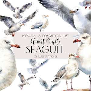 Commercial Use Seagull Clipart Sea Gull Transparent PNG Sea Birds Ocean Seagull Set of 15 Digital AI Watercolour