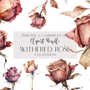 Commercial Use Withered Rose Png Dried Flowers PNG Autumn Dry Twig Clipart Transparent PNG Rustic Wedding Boho Digital illustration AI