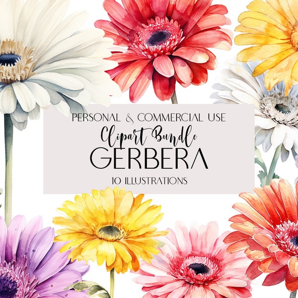 Commercial Use Gerbera Bright Flowers Clipart Transparent PNG Summer Flower Spring Botanic Gerberas Wedding Set 10 Digital illustration AI