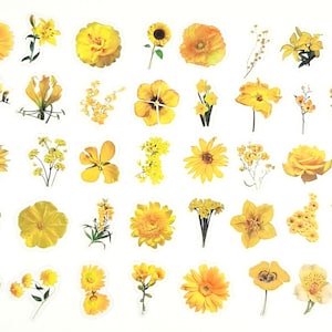 Stickers fleurs jaunes, Sticker fleur jaune, Stickers fleurs sauvages, déco floral journal et agenda, Stickers album