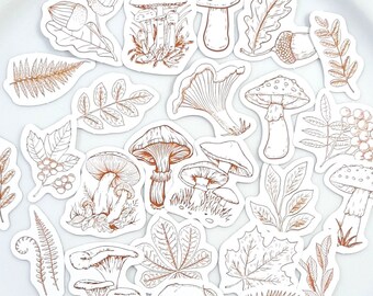 Mushroom and Leaf Stickers,  Autumn/Fall Woodland Sticker Set,   Forest Sketch Stickers, Journal and Planner Supplies, Scrapbooking, 45 pcs