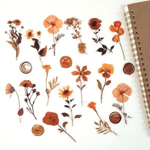 Getrocknete Blumen Aufkleber, Wildblumen Aufkleber Set, Gepresste Blumen Aufkleber, Herbst Journal und Planer Deko, Scrapbooking, Handwerk Aufkleber