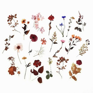 Wildblumen-Aufkleber, Getrocknete Blumen-Aufkleber, Gepresste Blumen-Aufkleber, Floral Journal und Scrapbook Dekoration, Bastelbedarf