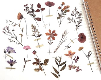 Dried Flower Stickers, Wildflower Journal Stickers, Planner and Scrapbook Decoration, Craft Supplies