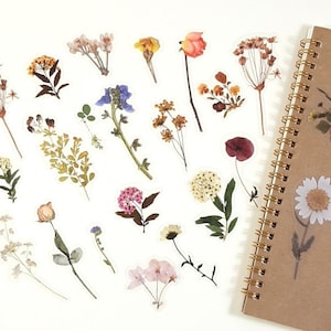 Getrocknete Blumen Aufkleber, Gepresste Blumen Aufkleber Set, Wildblumen Aufkleber, Floral Journal und Planer Deco, Scrapbook Aufkleber