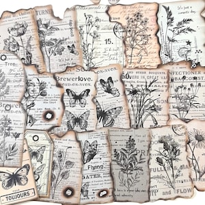 Vintage Botanical Stickers, Plant & Butterfly Stickers for Journals, Planners and Scrapbooks, Botanical Ephemera