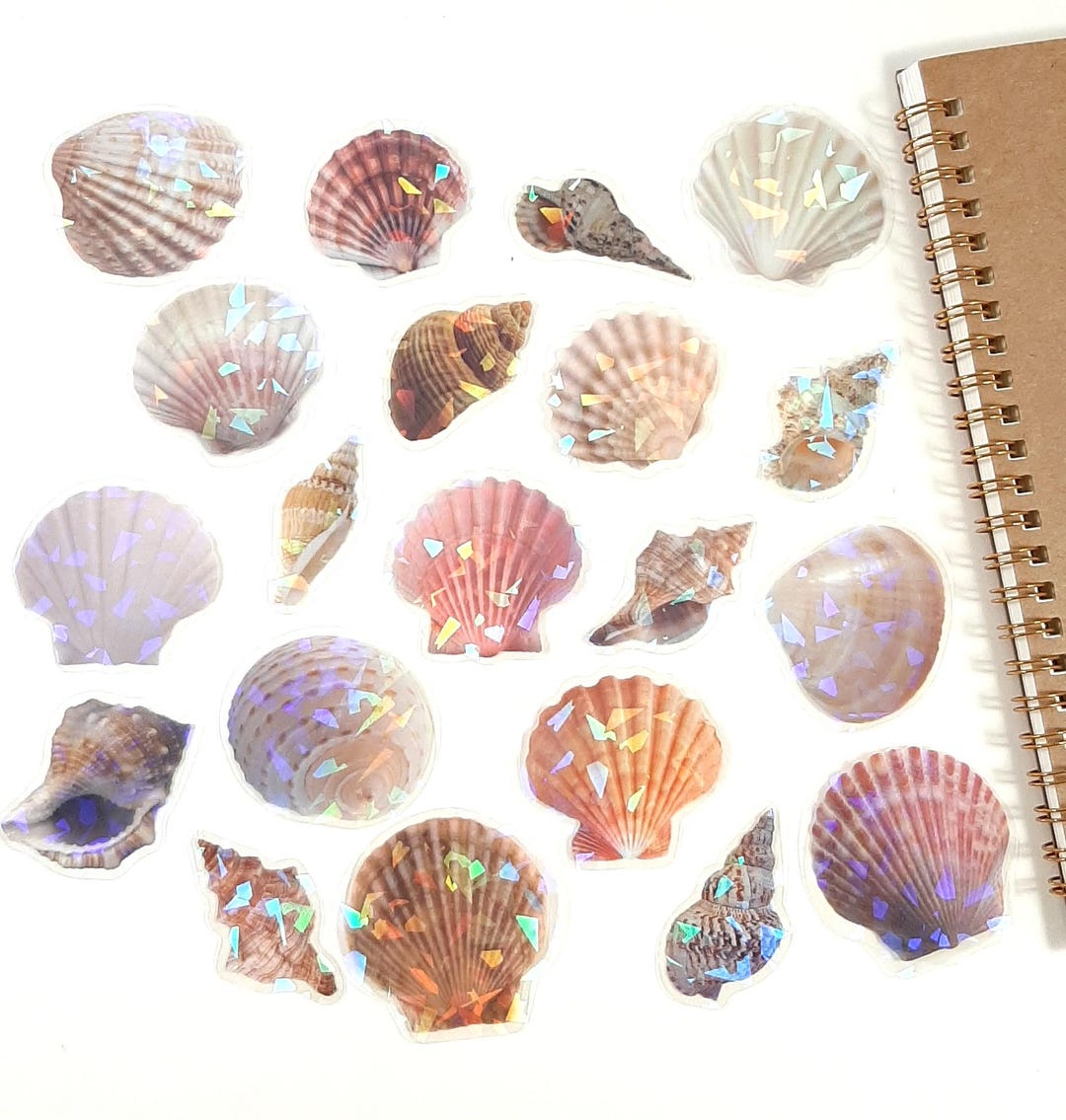Shell Sticker Beige Holographic Shell Stickers, Sea Shell Stickers for Journaling and ...