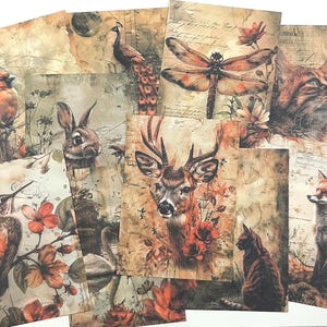 Natur Scrapbook-Papiere, Waldtiere Hintergrundpapiere, Tiere & Vögel Journalpapiere für Art Journaling und Scrapbooking, 10 Stück