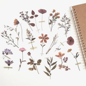 Getrocknete Blumen Aufkleber, Gepresste Blumen Aufkleber Set, Wildblumen Aufkleber, Floral Journal und Planer Deco, Scrapbook Aufkleber