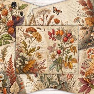 May include: A collection of vintage-style botanical prints featuring illustrations of berries, flowers, leaves, and mushrooms in autumnal colors. The prints have a textured, aged paper appearance with handwritten script.