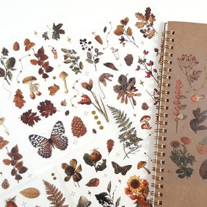 Autumn Stickers, Fall Sticker Sheet, Autumn Leaves Foliage Planner Deco, Nature Scrapbook Stickers, Craft Stickers