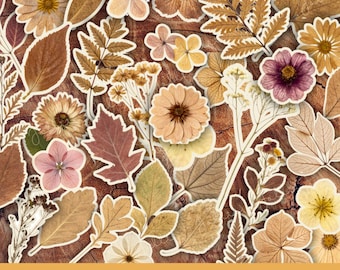 Dried Flower Fussy Cuts, Autumn Fall Leaves, Printable Botanical Ephemera