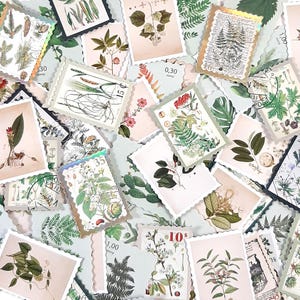 Vintage botanische Aufkleber, Pflanzenstempel-Aufkleber im Vintage-Stil, dekorative Pflanzenaufkleber für Journals und Scrapbooking, dekorative Stempel