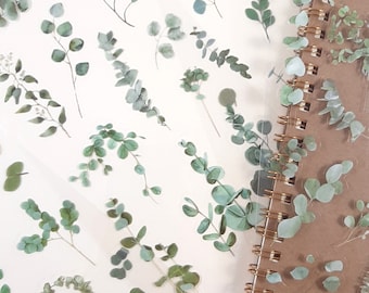 Pegatinas de eucalipto, hoja de pegatinas de hojas de eucalipto, decoración de diario y planificador con follaje verde, pegatinas para álbumes de recortes, pegatinas para manualidades