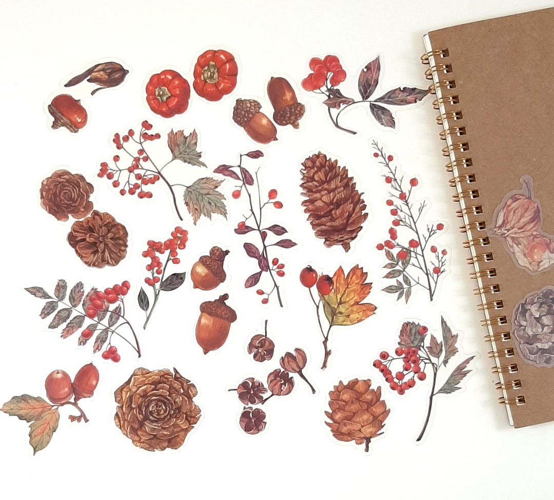 Autumn Stickers, Fall Foliage Stickers, Autumn Berries and Pine Cone ...