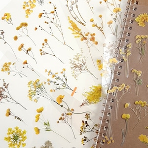 May include: A sheet of pressed flower stickers featuring yellow flowers and leaves on a white background. The stickers are arranged in a variety of patterns and designs.