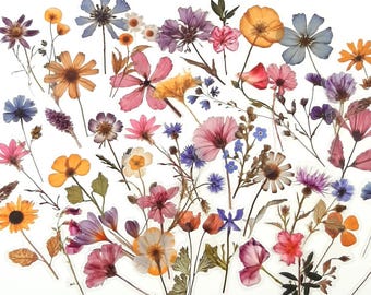 Pegatinas de flores secas, pegatinas de flores silvestres prensadas para diarios y álbumes de recortes